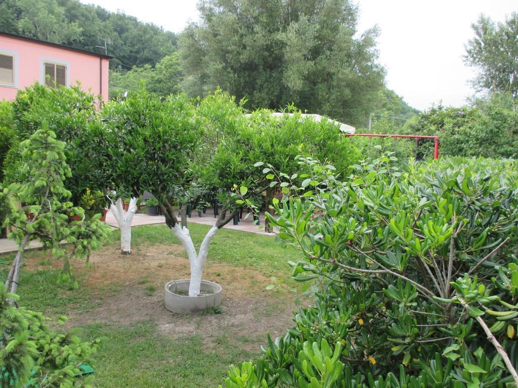 Palinuro Casa Vacanze "Donna Antonia" Ngoại thất bức ảnh